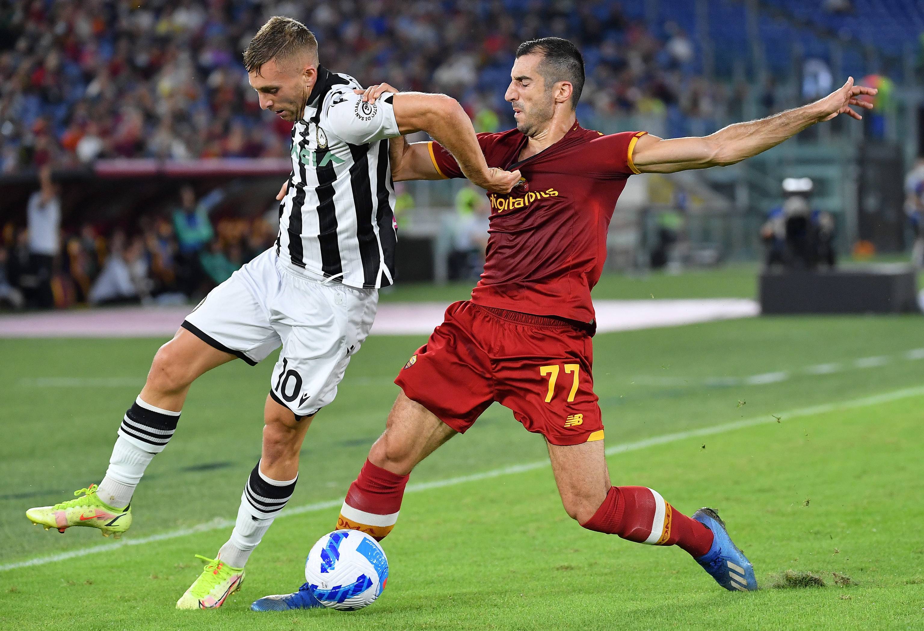 苏达森林狼 苏达森林狼