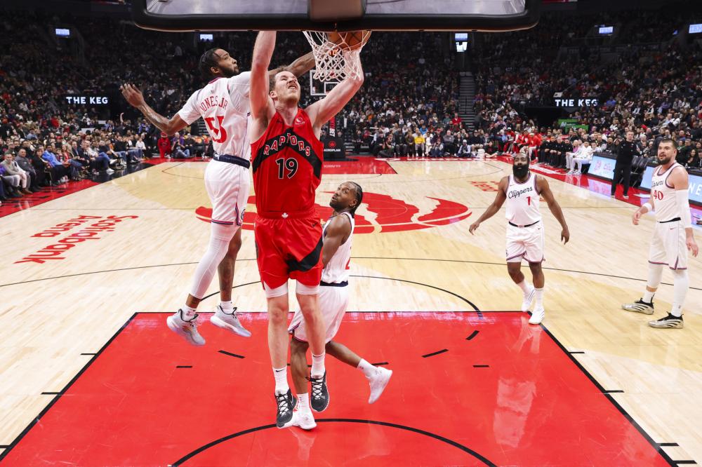 鹈鹕的整体 鹈鹕的整体